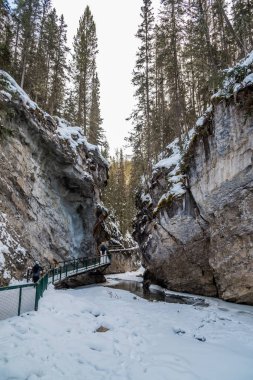 Resim Johnston şelale