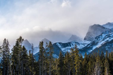 Canmore Biatlon Dünya Kupası