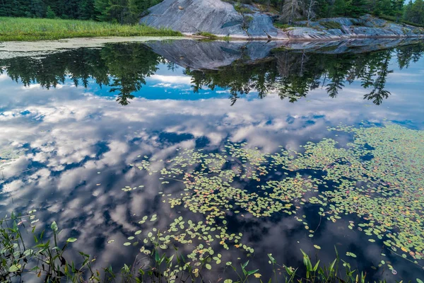 Image du lac forestier — Photo