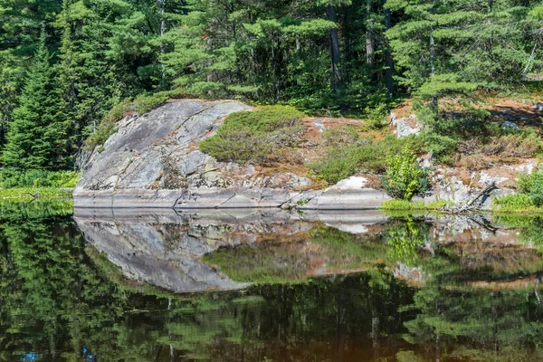 Immagine del lago della foresta — Foto Stock