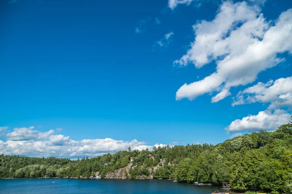 Imagem do lago Floresta — Fotografia de Stock