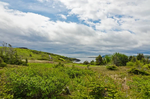 De kust van Newfoundland in zomerdag. — Stockfoto