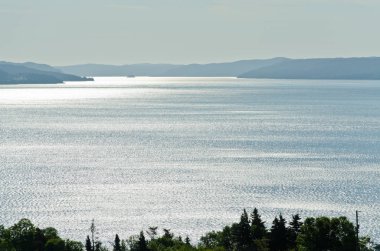 Shore of Newfoundland