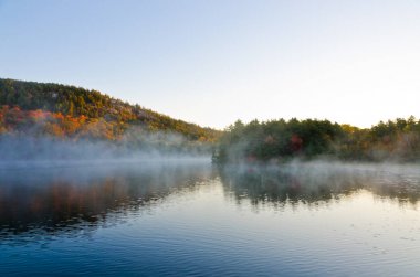 Orman göl üzerindeki gündoğumu