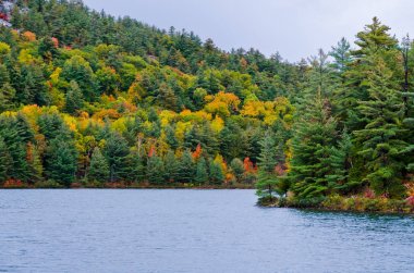 Orman Gölü. Kanada.
