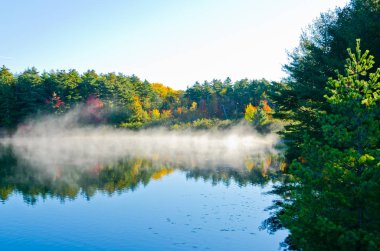 Orman göl üzerindeki gündoğumu