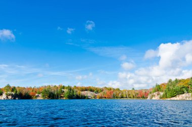 Orman göl üzerindeki gündoğumu