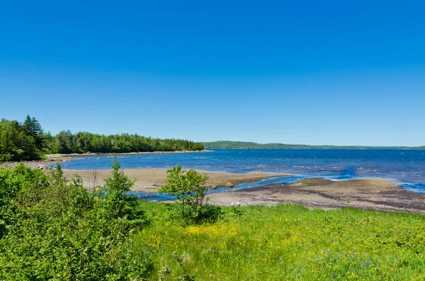 Lake. Newfoundland, Canada. — Stockfoto