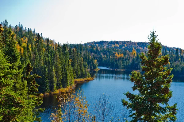 Lago da floresta no Canadá — Fotografia de Stock