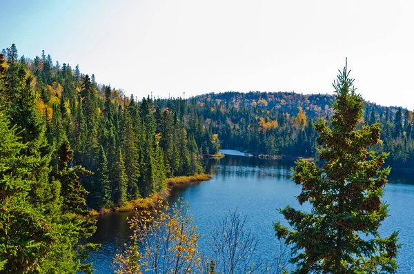 Waldsee in Kanada — Stockfoto