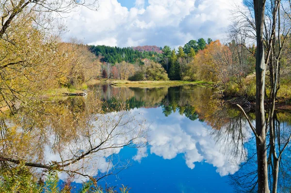 Forest lake in sunny day — Stock Photo, Image