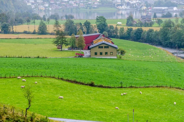 Norvegia altopiano verde — Foto Stock