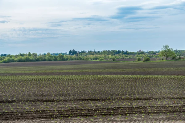 Jordbrukare fältet i vårens tid — Stockfoto
