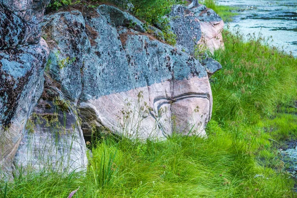 Bos meer in zonnige dag — Stockfoto