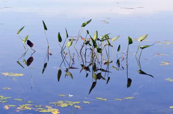 Blaues Wasser — Stockfoto