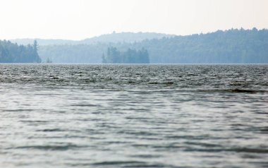 Sabah Algolquin Park 'taki gölde