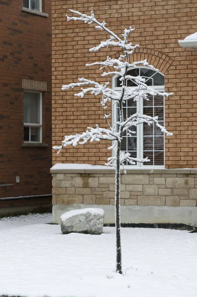 小さな家や雪の時間の木の壁 — ストック写真