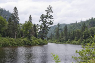 Bulutlu bir yaz gününde nehir kıyısı