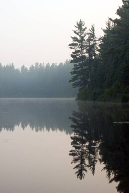 Algonquin Park'taki orman gölünde gün doğumu. Kayıp Joe Gölü