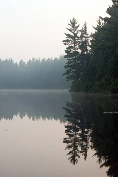 Wschód Słońca Nad Lasem Jezioro Algonquin Park Utracone Joe Lake — Zdjęcie stockowe