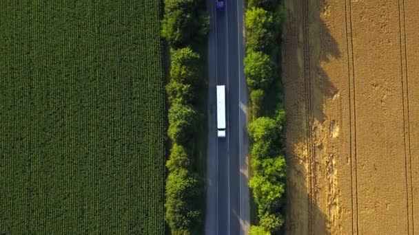 Sarı tarım buğday tarlaları arasında giden arabalarla dolu bir yolun havadan görünüşü yaz sonlarında hasat edilmeye hazır. Hava görünümü — Stok video