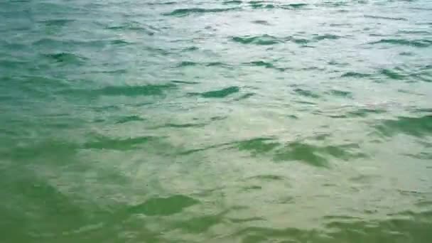 Air Hijau Murni Kolam Renang Dengan Pantulan Cahaya — Stok Video