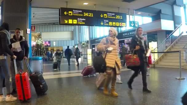 空港で航空会社の乗客 — ストック動画