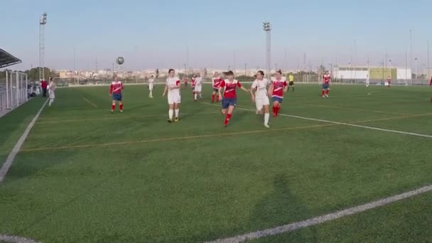 Vrouwen voetballers tijdens een spel — Stockvideo