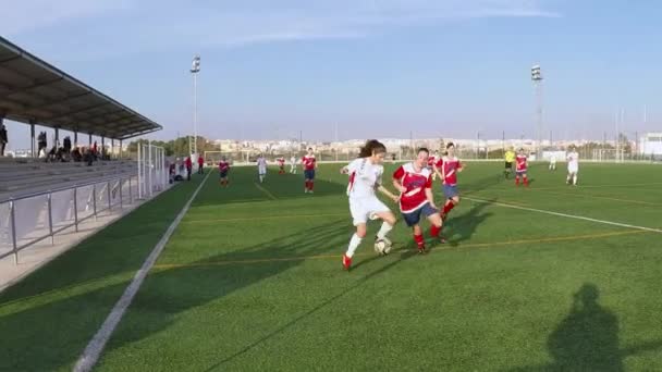Jogadoras de futebol feminino durante um jogo — Vídeo de Stock