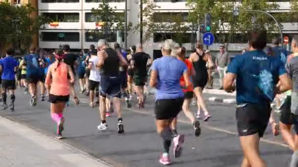 Koşucular yol yarışında rekabet — Stok video