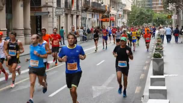 Runners compete in the 2017 Valencia Half Marathon in Valencia, Spain — Stock Video