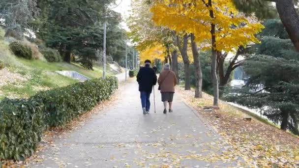 秋の日に外を歩くシニア カップル — ストック動画