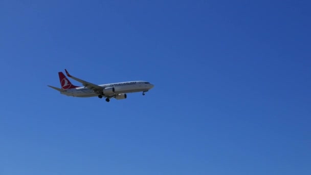 Valencia España Marzo 2018 Vuelo Turkish Airlines Llega Aeropuerto Valencia Video de stock