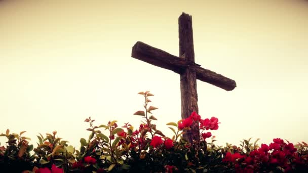 Cruz de madeira colocada no prado — Vídeo de Stock