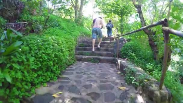 Going On Tropical Hike with Friends — ストック動画