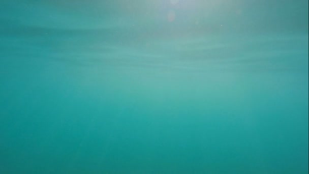 Bajo el agua en el océano — Vídeos de Stock