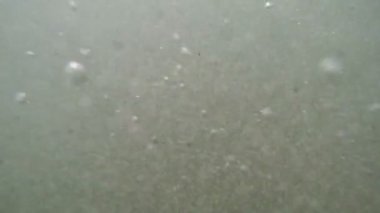 Ağır çekim dalgaları içine dalan