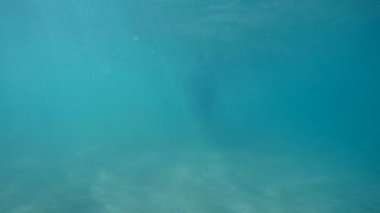 Ağır çekim plajda sualtı