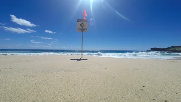 Warnschild für hohe Brandung am Sandstrand in Hawaii — Stockvideo