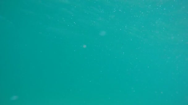 Sparse underwater background Slow Motion — ストック動画