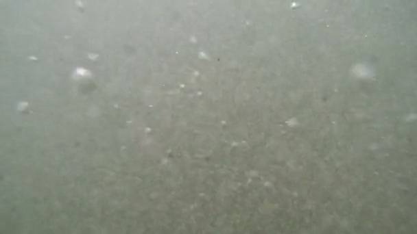 Plonger dans les vagues Slow Motion 