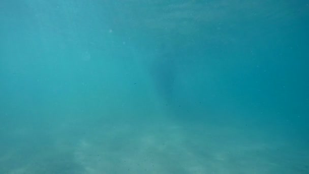 Bajo el agua en la playa Slow Motion — Vídeos de Stock