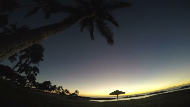 Острів Sunset під дерево пальми — стокове відео
