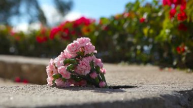 Taş çıkıntıya çiçekler