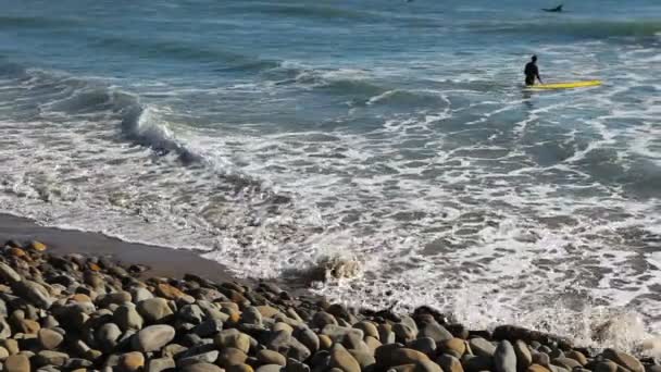 Surfing i Kalifornien — Stockvideo