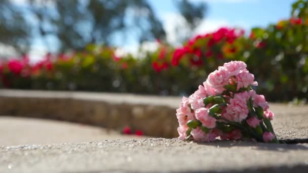 在石窗台上孤立的花 — 图库视频影像