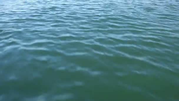 Su üzerinde ilerlemeye — Stok video