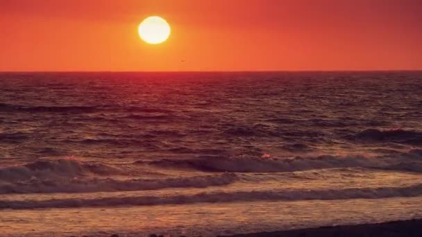 Warme zonsondergang op het strand in Slow Motion — Stockvideo