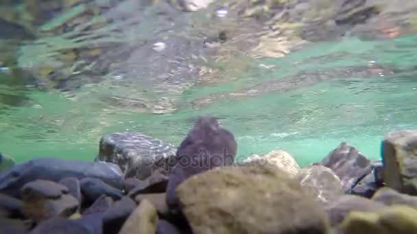 Unterwasser stürzt in steinigen Teich — Stockvideo