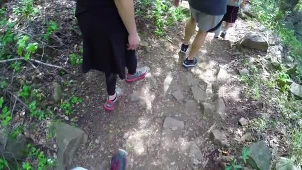 View of hikers  in a forest — Stock Video